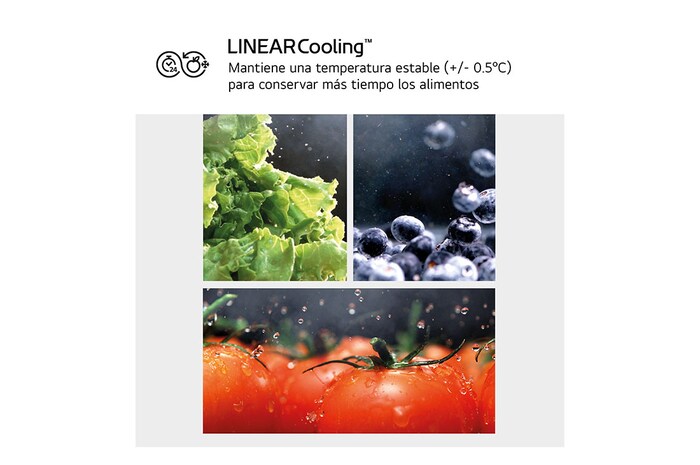 LG Outlet Frigorífico Combi Door Cooling+, 2,03m, Clasificación D, capacidad de 419l, blanco. Serie 500, GBV5240DSW.OUTLET