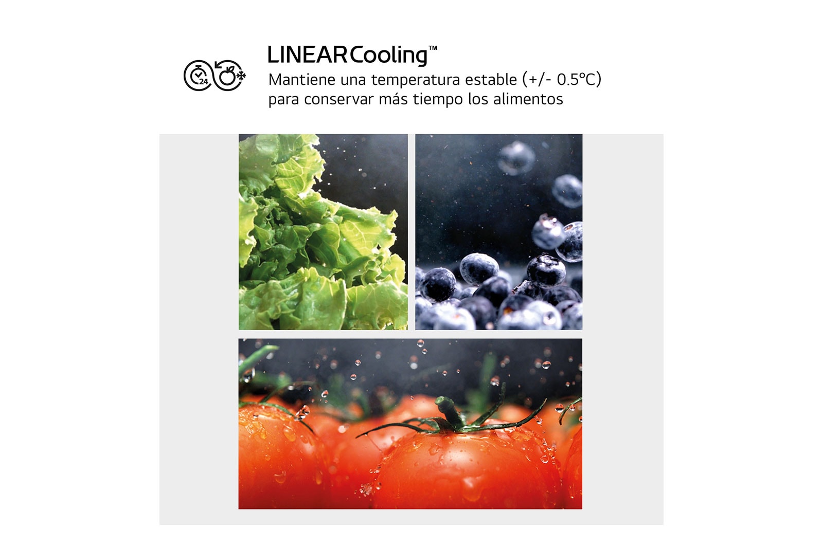 LG Outlet Frigorífico Combi Door Cooling+, 2,03m, Clasificación D, capacidad de 419l, blanco. Serie 500, GBV5240DSW.OUTLET