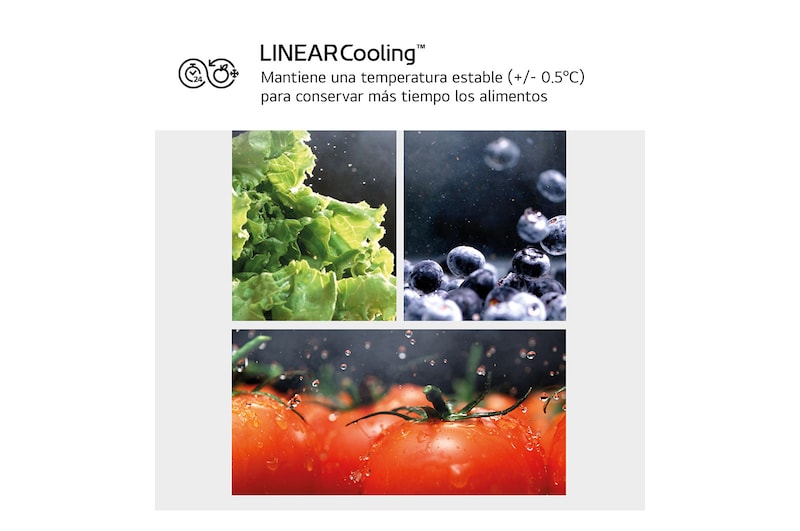 LG Outlet Frigorífico Combi Door Cooling+, 2,03m, Clasificación D, capacidad de 419l, blanco. Serie 500, GBV5240DSW.OUTLET