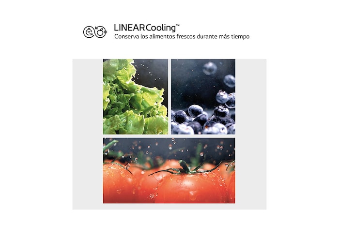 LG Outlet Frigorífico Combi Door Cooling+, 2m, Clasificación D, capacidad de 419l, Inox Antihuellas, Serie 500, GBV5240DPY.OUTLET