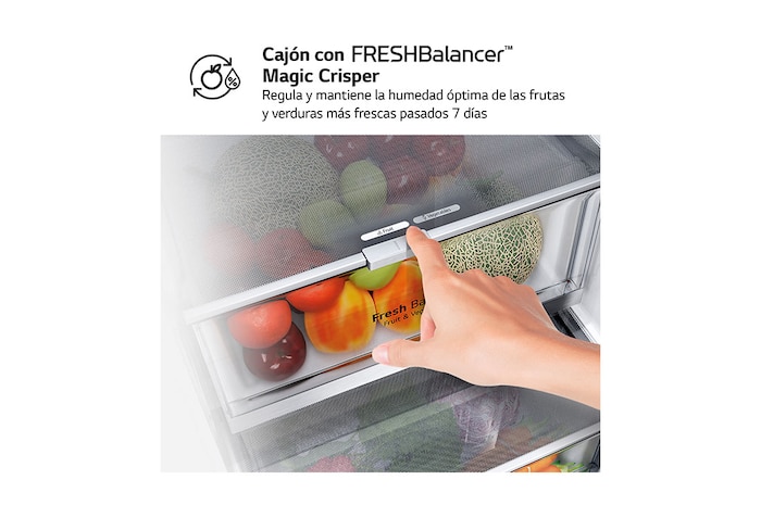 LG Outlet Frigorífico Combi Door Cooling+, 2m, Clasificación D, capacidad de 419l, Inox Antihuellas, Serie 500, GBV5240DPY.OUTLET