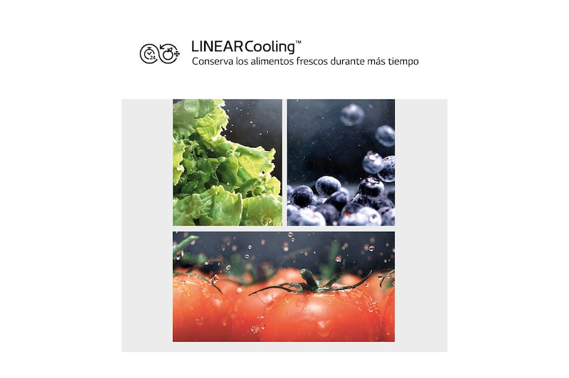 LG Outlet Frigorífico Combi Door Cooling+, 2m, Clasificación D, capacidad de 419l, Inox Antihuellas, Serie 500, GBV5240DPY.OUTLET