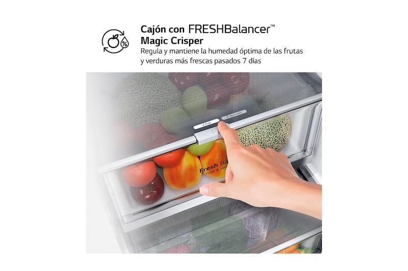 LG Outlet Frigorífico Combi Door Cooling+, 2m, Clasificación D, capacidad de 419l, Inox Antihuellas, Serie 500, GBV5240DPY.OUTLET