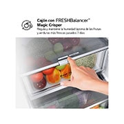 LG Outlet Frigorífico Combi Door Cooling+, 2m, Clasificación D, capacidad de 419l, Inox Antihuellas, Serie 500, GBV5240DPY.OUTLET
