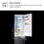 LG Door Cooling+, 2 m, Clasificación D, capacidad de 419 l, Acero negro-grisáceo mate antihuellas, GBV5250DEP, GBV5250DEP