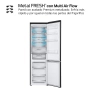LG Door Cooling+, 2 m, Clasificación D, capacidad de 419 l, Acero negro-grisáceo mate antihuellas, GBV5250DEP, GBV5250DEP
