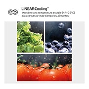 LG Outlet Frigorífico Combi Door Cooling+, 1,86m, Clasificación C, capacidad de 374l, inox antihuellas. Serie 700, GBV7180CPY.OUTLET