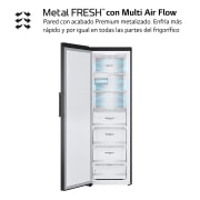 LG Outlet Congelador Total No Frost, Clasificación D, 355 L, Acero Negro-grisáceo mate, GFM61MCCSF.OUTLET