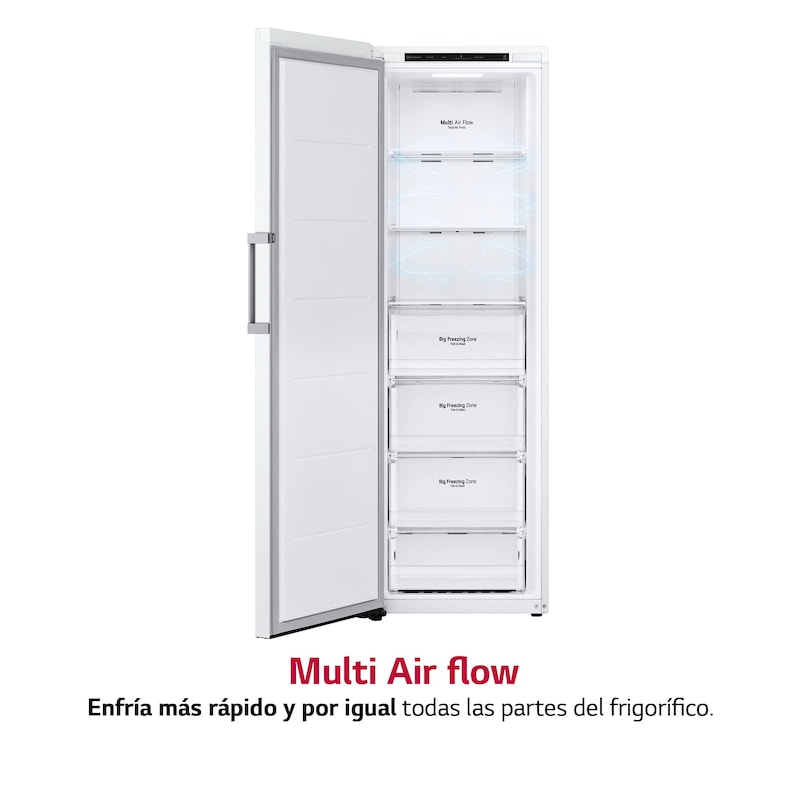 LG Outlet Congelador 1 Puerta Total No Frost Smart Inverter, Clasificación E, 324 L, Blanco, GFT41SWGSZ.OUTLET