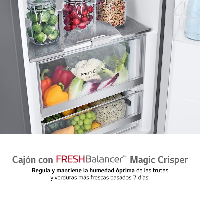 LG Frigorífico 1 puerta Door Cooling, Total No frost, Clasificación D, 413L, Acero inoxidable texturizado, GLM71MBCSF