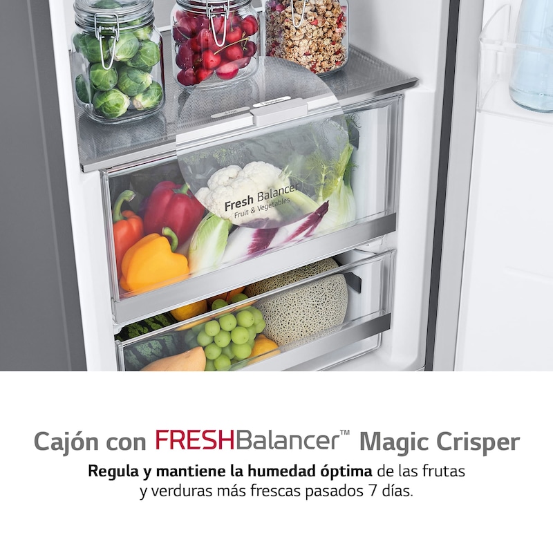 LG Frigorífico 1 puerta Door Cooling, Total No frost, Clasificación D, 413L, Acero inoxidable texturizado, GLM71MBCSF