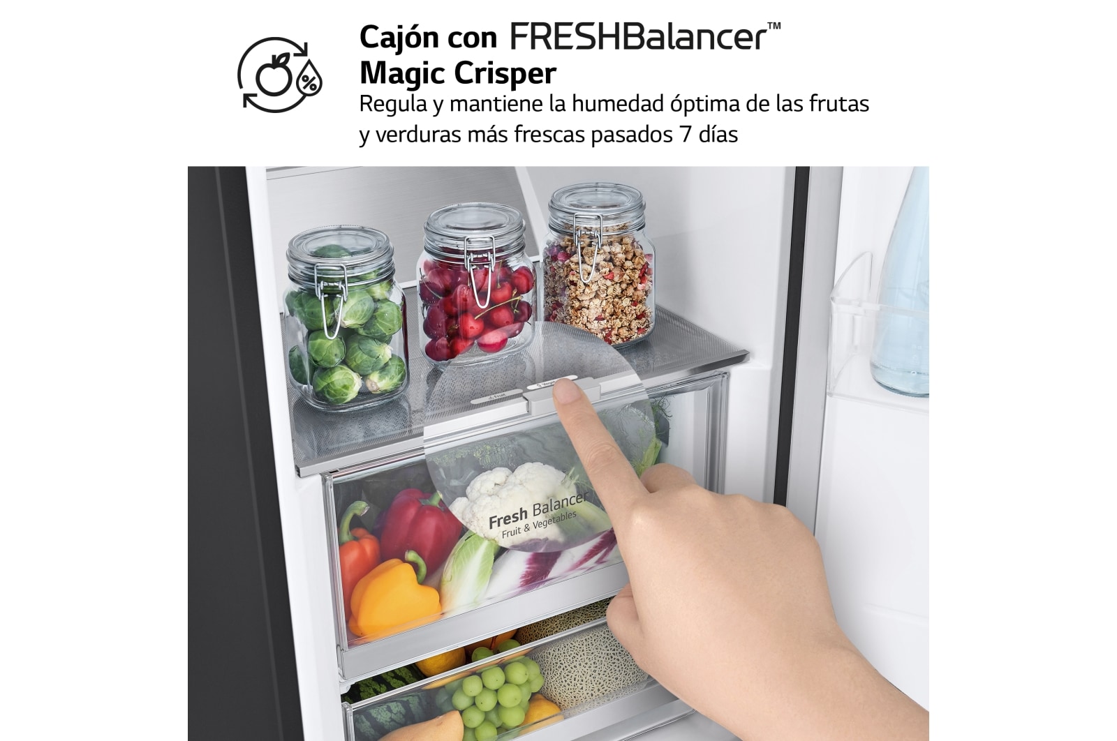 LG Outlet Frigorífico Clasificación C, 413L, Acero Negro-grisáceo mate antihuellas, GLM71MCCSX.OUTLET