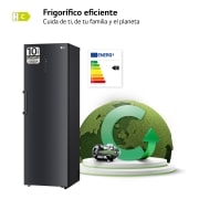 LG Outlet Frigorífico Clasificación C, 413L, Acero Negro-grisáceo mate antihuellas, GLM71MCCSX.OUTLET