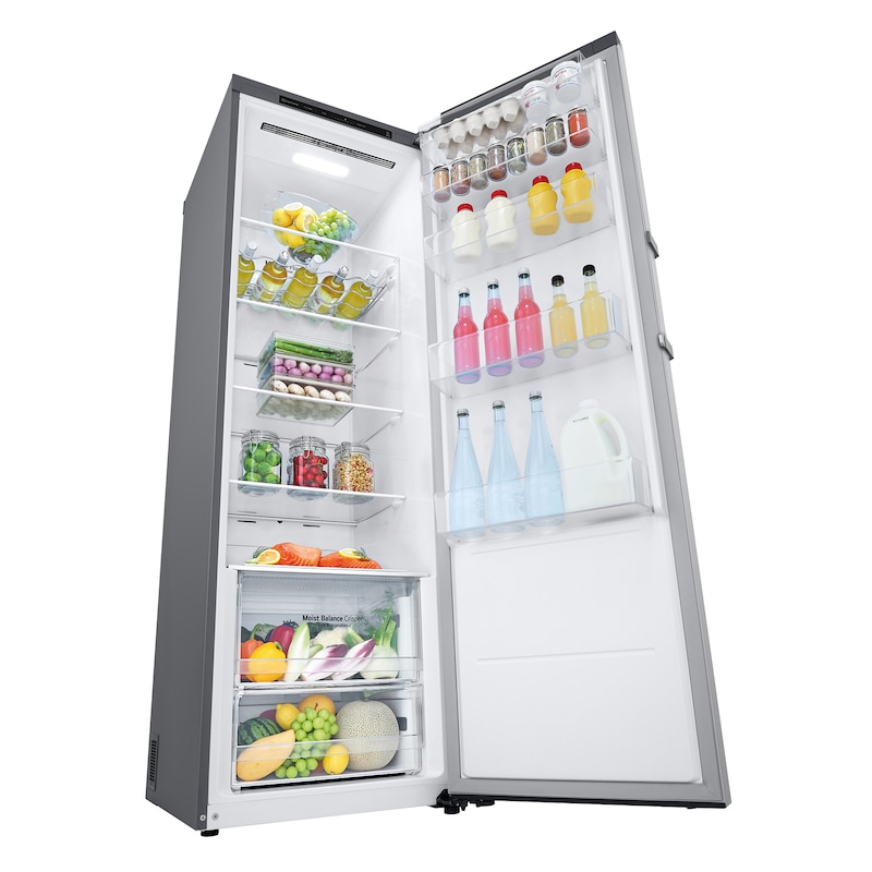 LG Frigorífico 1 puerta Door cooling, Total No Frost, Clasificación E, 413L, Inox antihuellas, GLT51PZGSZ