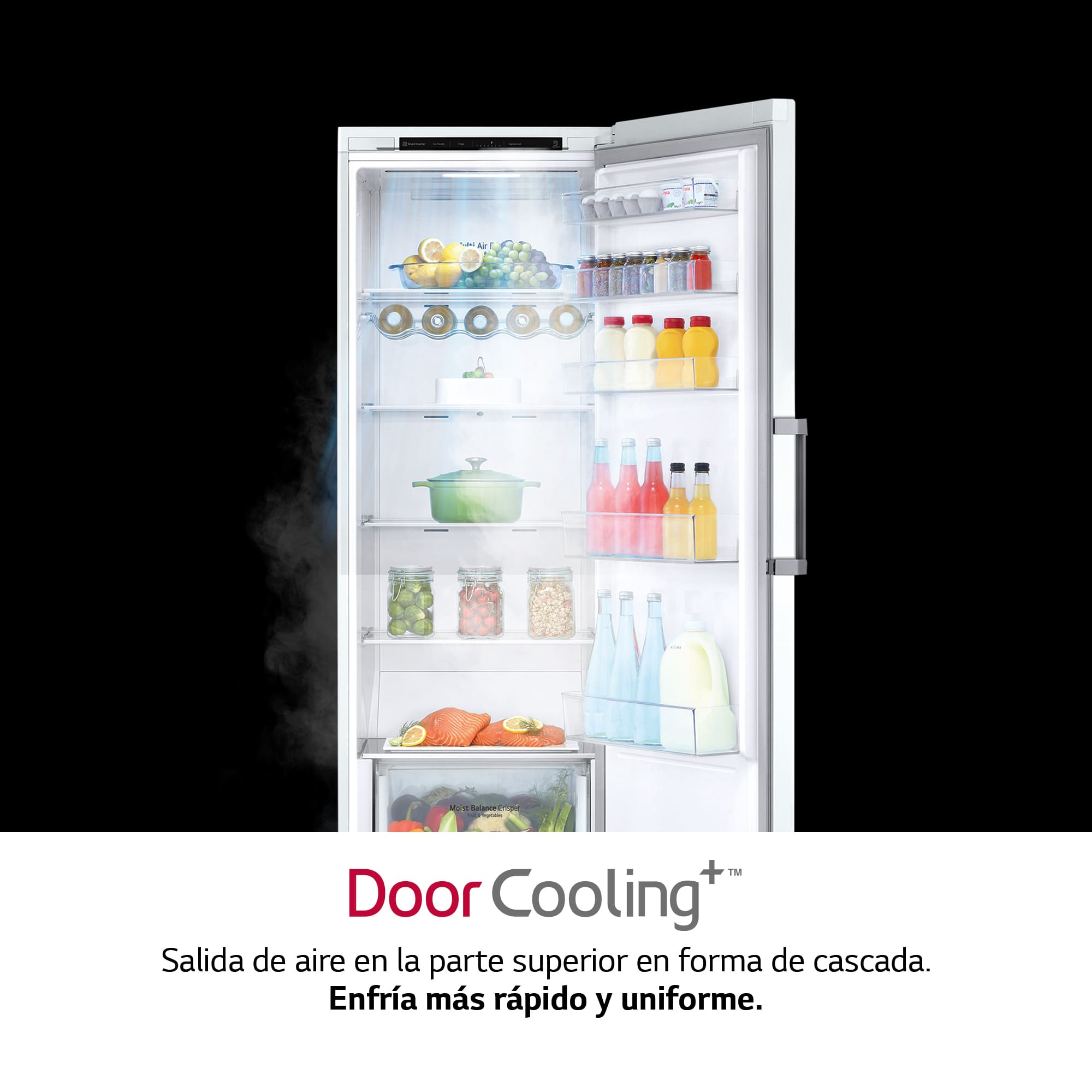 LG Nevera 1 Puerta DoorCooling + Clasificación E, 386L  - Blanco, GLT51SWGSZ