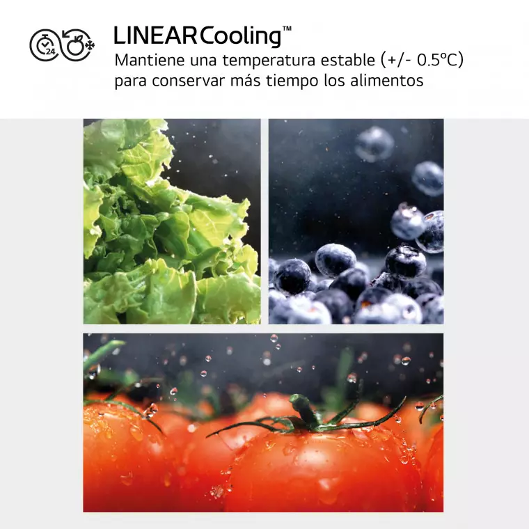 LG Outlet Frigorífico Side By side Serie 900, Instaview Door-In-Door, Acero texturizado antihuellas. D, 628 L, GSXE90MBAD.OUTLET