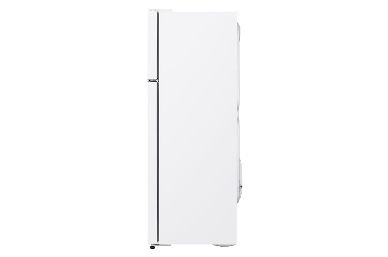 LG Frigorífico Dos Puertas Total No Frost, GTB362SHCZD