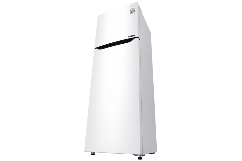 LG Frigorífico Dos Puertas Total No Frost, GTB362SHCZD