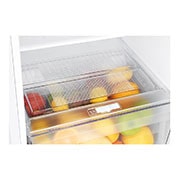 LG Frigorífico Dos Puertas, Clasificación F, 312 L, Door Cooling+, Total No Frost, Blanco, GTB523SWCZD