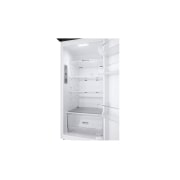 LG Outlet Frigorífico 2 Puertas, Total No Frost, 1,68 m., 287 L., Clasificación E, GTBV20SWGKD.OUTLET