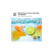LG Outlet Frigorífico 2 Puertas, Total No Frost, 1,68 m., 287 L., Clasificación E, GTBV20SWGKD.OUTLET