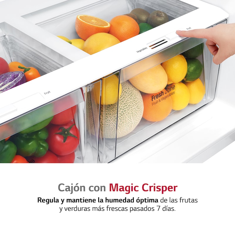 LG Frigorífico Dos Puertas, Clasificación E, Door Cooling+, Total No Frost, Inox antihuellas, GTF916PZPYD