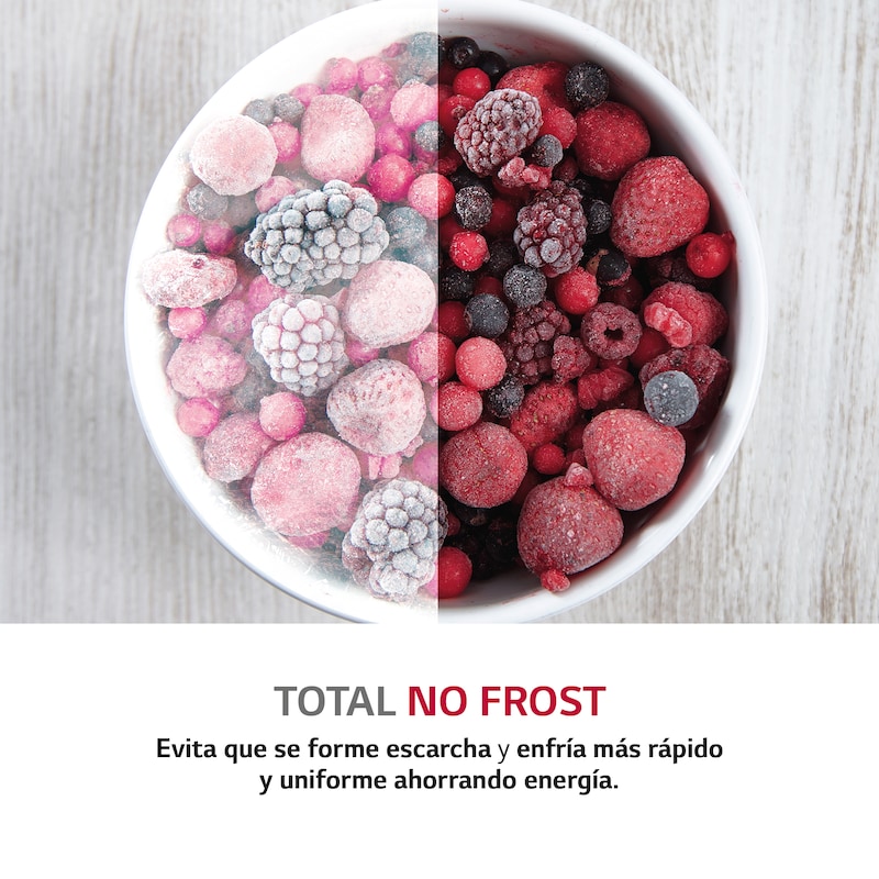 LG Frigorífico Dos Puertas, Clasificación E, Door Cooling+, Total No Frost, Inox antihuellas, GTF916PZPYD