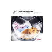 LG Lavadora inteligente AI Direct Drive. TurboWash 360º, Vapor,  10kg ,  1400rpm Un 10% más eficiente que A, Serie 600 , F4WR6010A0W
