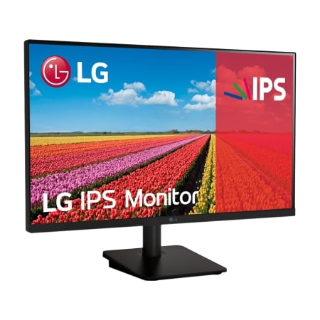 Monitor IPS Full HD (1920 x 1080) de 24,5 pulgadas - 25MS500-B