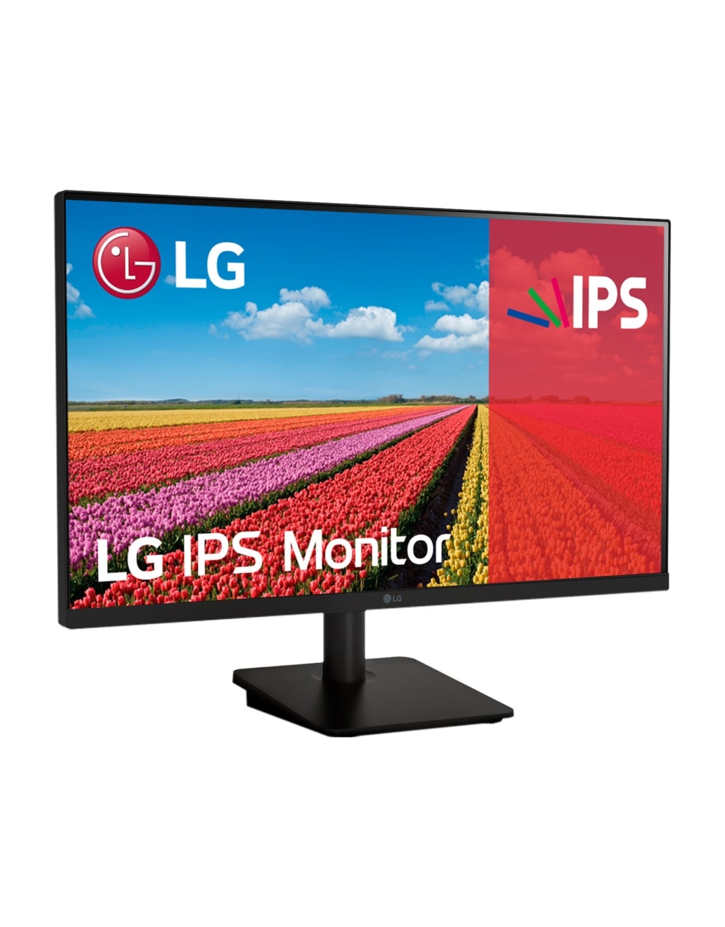 large-m01.jpg