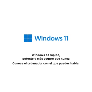 Windows 11