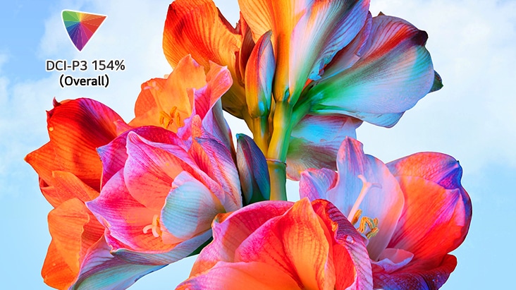 Imagen de una flor de colores intensos con el logotipo DCI‑P3 154% en la esquina superior izquierda