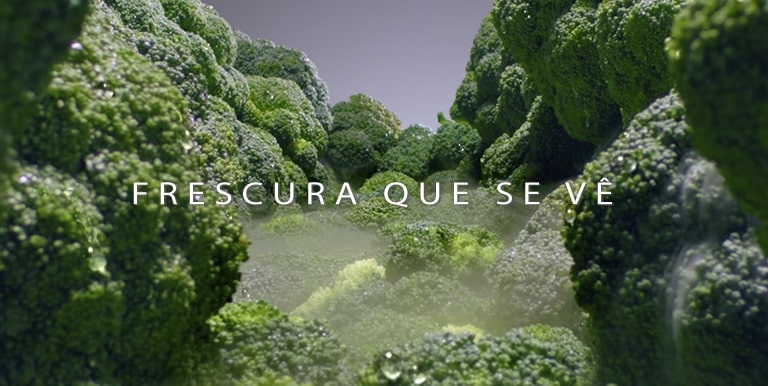 Tus alimentos tan frescos como el primer día