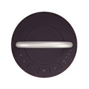 LG XBOOM 360 RP4, RP4