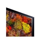 LG 4K UHD, SmartTV webOS 6.0, Procesador de Imagen 4K Quad Core [Clasificación energética G], 43UP81006LR