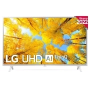 LG Televisor LG 4K UHD, Procesador de Gran Potencia 4K a5 Gen 5, compatible con formatos HDR 10, HLG y HGiG, Smart TV webOS22., 43UQ76906LE