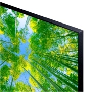 LG Televisor LG 4K UHD, Procesador de Gran Potencia 4K α5 Gen 5, compatible con formatos HDR 10, HLG y HGiG, Smart TV webOS22., 43UQ81006LB