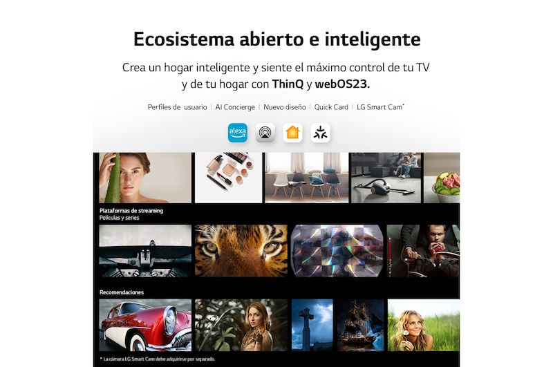 LG TV LG  UHD 4K de 43'' Serie 80, Procesador Alta Potencia, HDR10 / Dolby Digital Plus, Smart TV webOS23., 43UR80006LJ