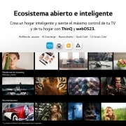 LG TV LG  UHD 4K de 43'' Serie 80, Procesador Alta Potencia, HDR10 / Dolby Digital Plus, Smart TV webOS23., 43UR80006LJ