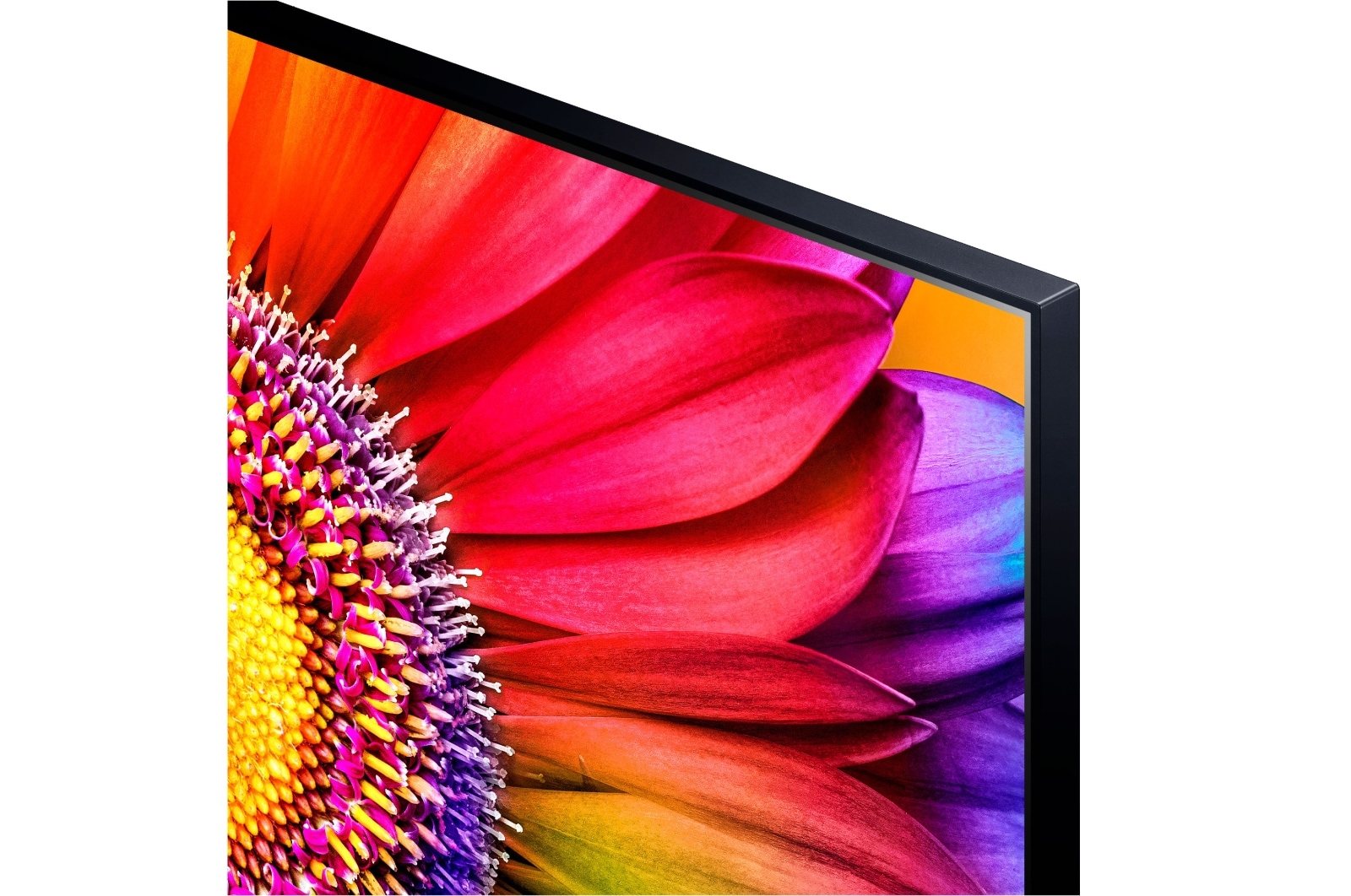 LG TV LG  UHD 4K de 43'' Serie 81, Procesador Alta Potencia, HDR10 / Dolby Digital Plus, Smart TV webOS23, , 43UR81006LJ