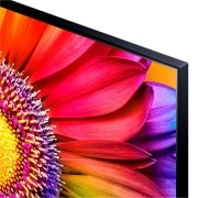 LG TV LG  UHD 4K de 43'' Serie 81, Procesador Alta Potencia, HDR10 / Dolby Digital Plus, Smart TV webOS23, , 43UR81006LJ