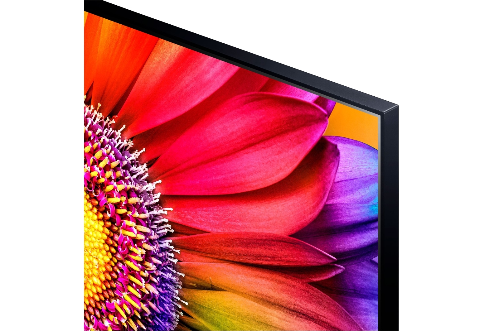 LG TV LG  UHD 4K de 50'' Serie 81, Procesador Alta Potencia, HDR10 / Dolby Digital Plus, Smart TV webOS23, , 50UR81006LJ