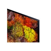 LG 4K UHD, SmartTV webOS 6.0, Procesador de Imagen 4K Quad Core [Clasificación energética G], 65UP81006LA