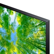 LG Televisor LG 4K UHD, Procesador de Gran Potencia 4K a5 Gen 5, compatible con formatos HDR 10, HLG y HGiG, Smart TV webOS22., 75UQ81006LB