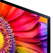 LG TV LG  UHD 4K de 75'' Serie 81, Procesador Alta Potencia, HDR10 / Dolby Digital Plus, Smart TV webOS23, , 75UR81006LJ