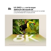life style of LG QNED TV, QNED99