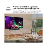 life style of LG QNED TV, QNED99