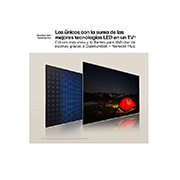LG 98 pulgadas TV LG QNED 4K serie AI QNED89  con Smart TV WebOS24, 98QNED89T6A