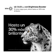 LG 55 pulgadas TV LG OLED 4K serie C4  con Smart TV WebOS24, OLED55C44LA