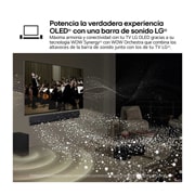 LG 55 pulgadas TV LG OLED 4K serie C4  con Smart TV WebOS24, OLED55C44LA